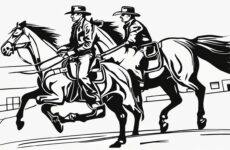 Pony express